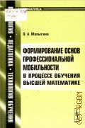 Малыгина О. А., Формирование основ профессиональной мобильности.  в процессе обучения высшей математике — 2010 (Психология, педагогика, технология обучения. математика)