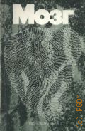 Мозг — 1984